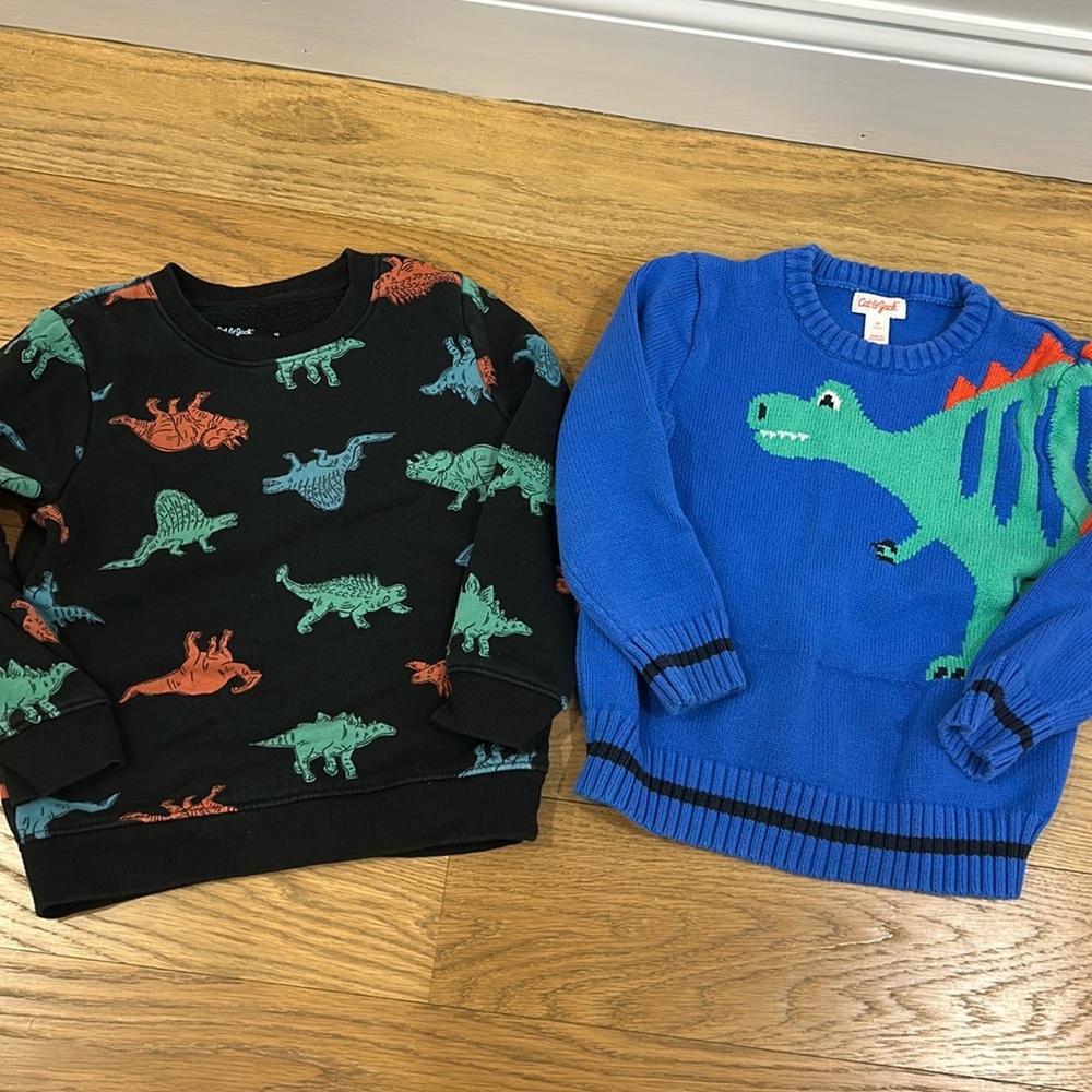 Cat and Jack Dino Sweater + Sweatshirt